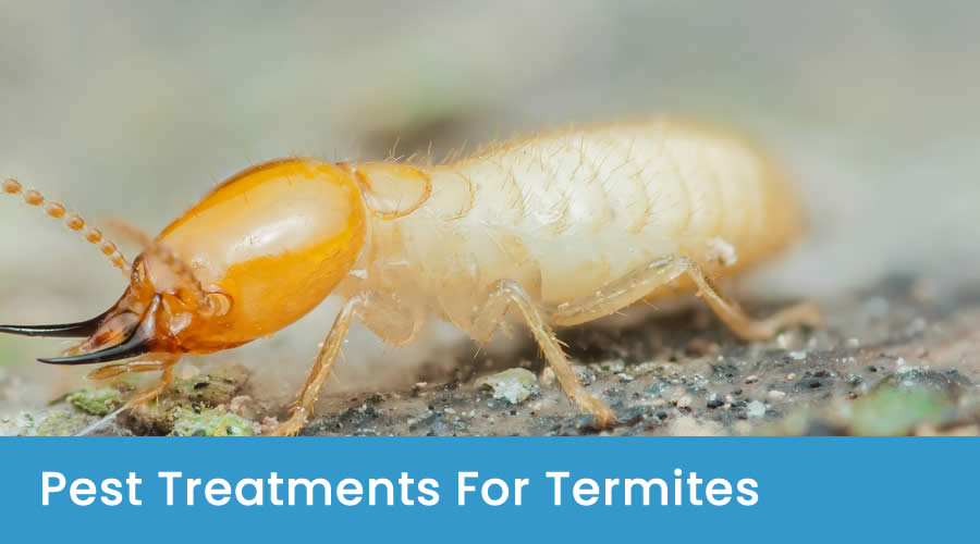 Effective Pest Management ACT Effective Pest Management ACT