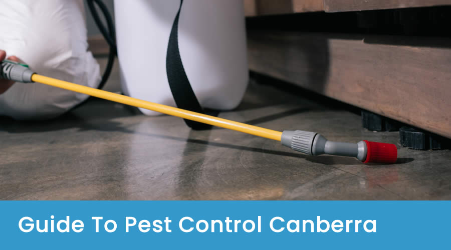 Guide to Pest Control Canberra Guide to Pest Control Canberra