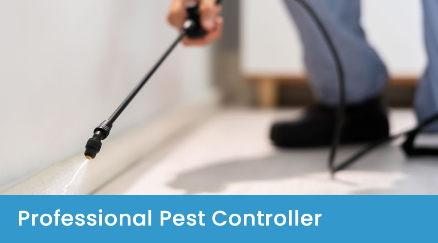 Professional Pest Control Guidelines in Canberra Professional Pest Control Guidelines in Canberra