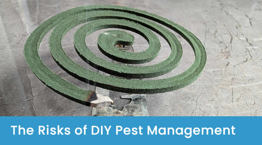 The Hazards of DIY Pest Management The Hazards of DIY Pest Management