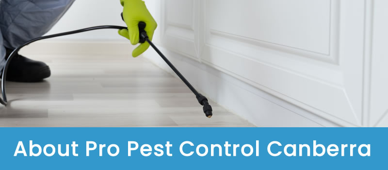 Pest Control Experts About Pro Pest Control Canberra