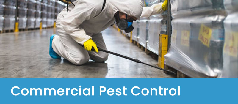Pest Control For Businesses Commercial Pest Control Experts