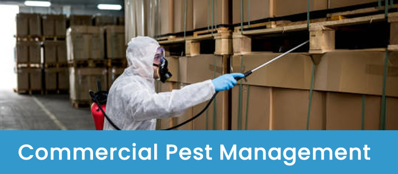 Warehouse Pest Treatment Licensed Commercial and Industrial Pest Control