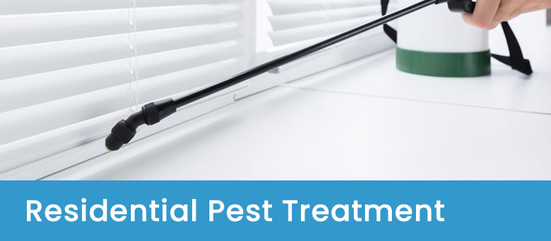 Expert Pest Control For Homes Home Pest Control Experts