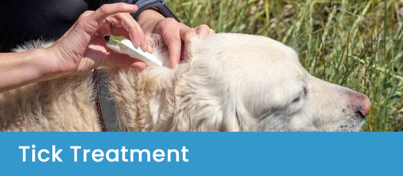 Tick repellent Effective Tick Treatments