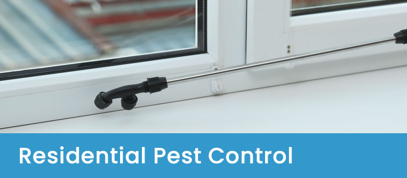 Professional Pest Control Experts Residential Pest Control Canberra