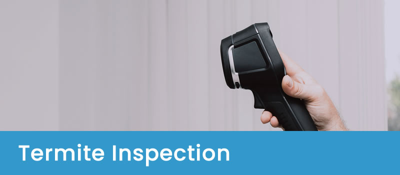 Pest Inspection For Termites Termite Inspections Canberra