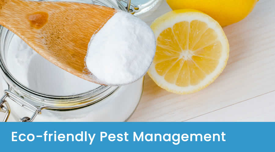 Environmentally Friendly Pest Control Environmentally Friendly Pest Control